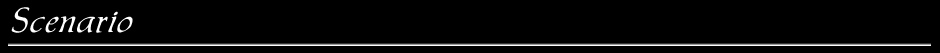 scenario